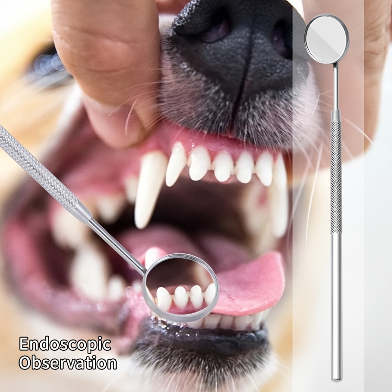 6 sztuk urządzenia do usuwania – Teeth Whitening Mouthwash recenzja i cena